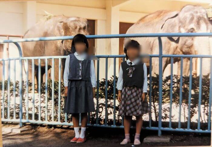1990年代、福岡市動物園のゾウ「おふく」と「はな子」を背に写真にうつる小学生の姉妹の画像。